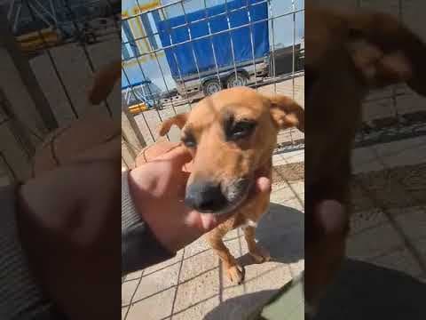Bulle en vidéo 3