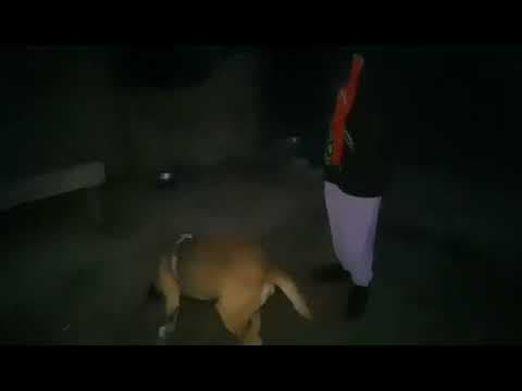 Zeus en vidéo 2