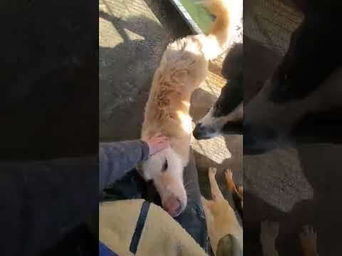 Sable en vidéo 1