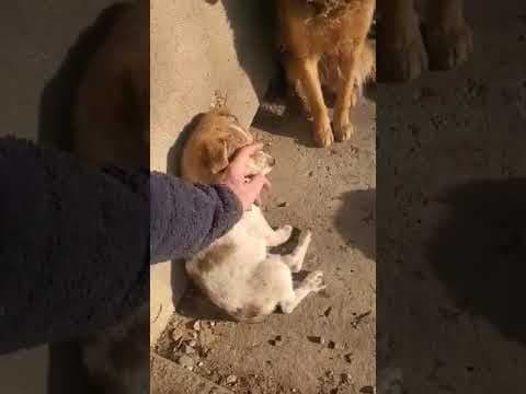 Kiartan en vidéo 1