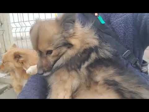 Tili en vidéo 2