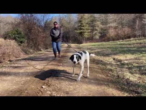 Sambo en vidéo 4