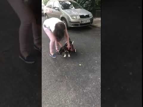 Lisette en vidéo 6