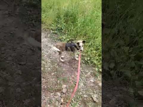 Rhea en vidéo 1