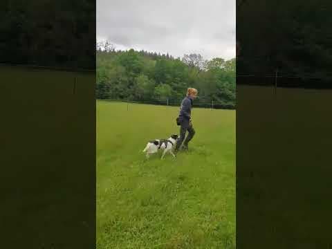 Orchidee en vidéo 4