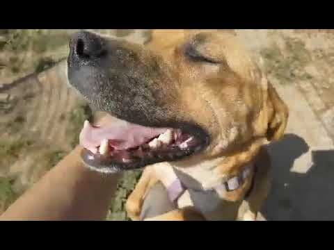 Zeus en vidéo 4
