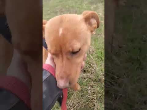 Aelys en vidéo 1