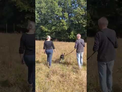 Kenjy en vidéo 1