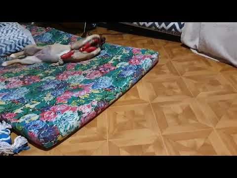 Ayvi en vidéo 3