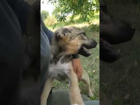 Mavie en vidéo 1