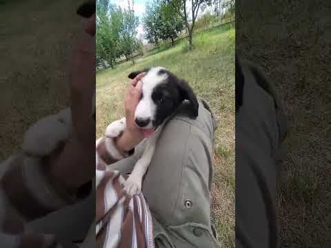 Nimbus en vidéo 1