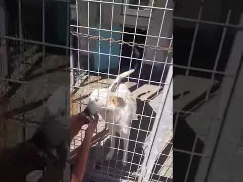 Lilou en vidéo 1