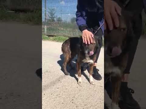 Hilton en vidéo 1