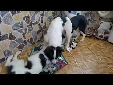 Lukas en vidéo 3