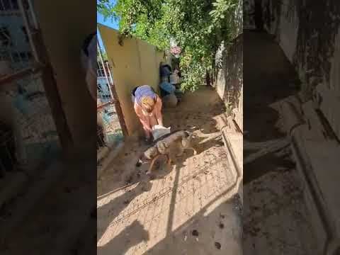 Deku en vidéo 1