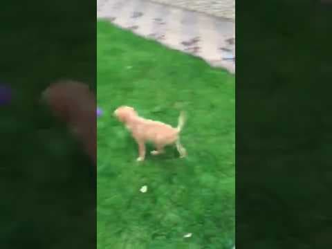 Nyna en vidéo 7