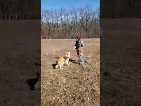 Zuko en vidéo 7