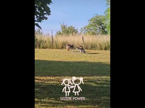 Lulu en vidéo 6