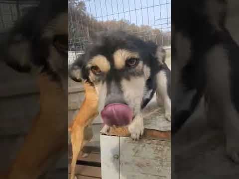 Ourka en vidéo 1