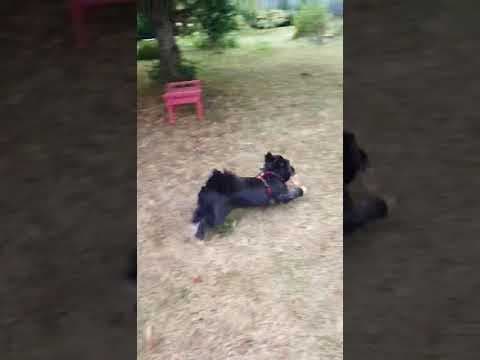 Bulle en vidéo 5
