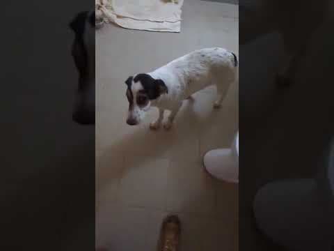 Nori en vidéo 4