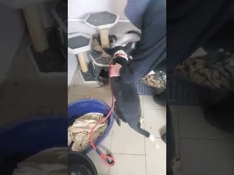 Kenjy en vidéo 3