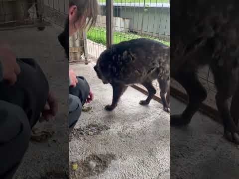Tomm en vidéo 3