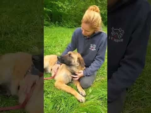Ludwig en vidéo 3