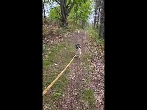 Hephaïstos en vidéo 3
