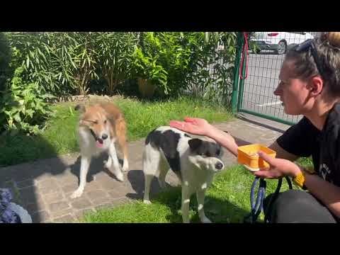 Terra en vidéo 4
