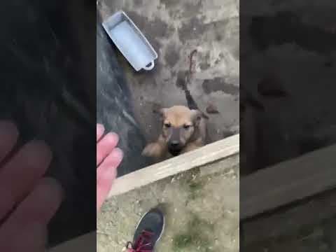 Milo en vidéo 1