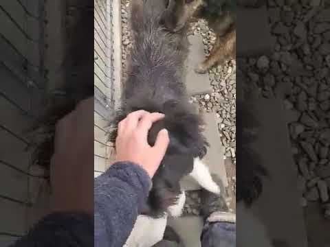 Mimi en vidéo 3