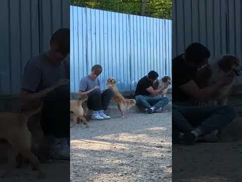 Anhour en vidéo 3