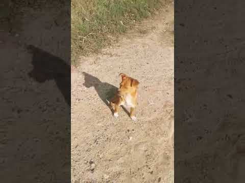 Sweet en vidéo 1