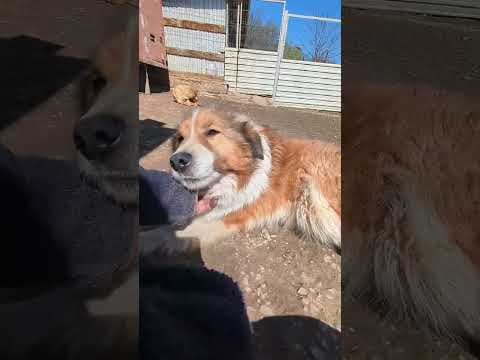 Anhour en vidéo 5