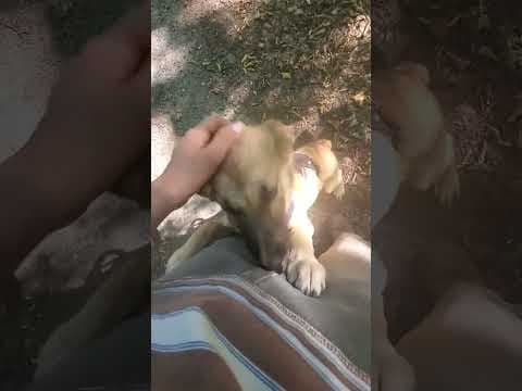 Naveli en vidéo 1