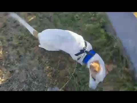 Dylan en vidéo 2