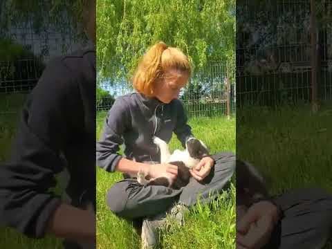 Scouby en vidéo 1