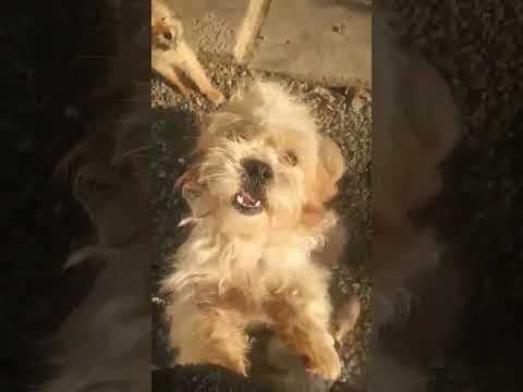 Padawan en vidéo 1