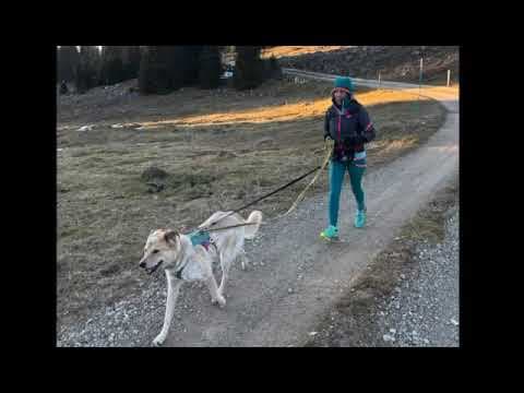 Oria en vidéo 6