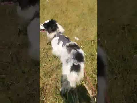 Funky en vidéo 2