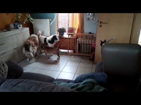 Hiona en vidéo 11