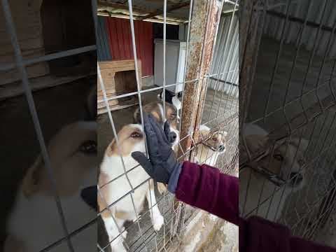 Bumper en vidéo 3