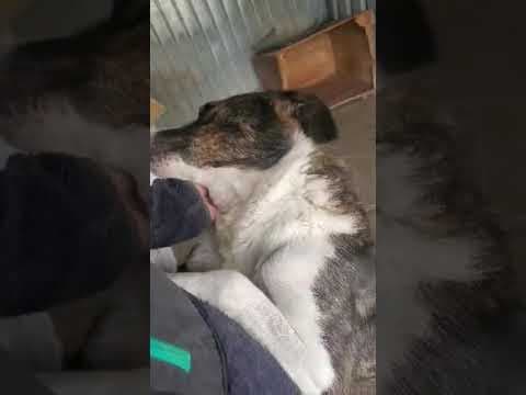 Bunker en vidéo 4