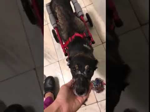 Lisette en vidéo 7