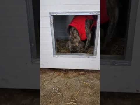 Deedjay en vidéo 2
