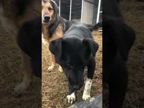 Narco en vidéo 11