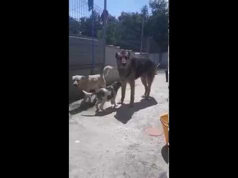 Enee en vidéo 3