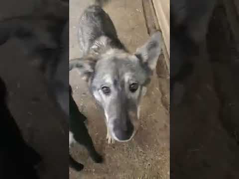 Teeny en vidéo 1
