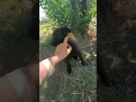 Saïgon en vidéo 1